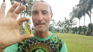 How to charge crystals, how it all started, Pure Energy.