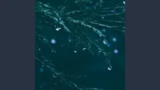 Rain Sounds for Relaxation, Sleep Therapy, Meditation and Studying