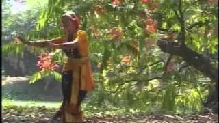 Basanti, He Bhubonomohini - Bangla Songs