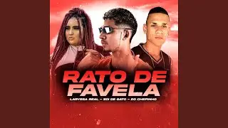 Rato de Favela
