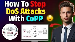 CoPP Explained: Prevent&nbsp;DoS&nbsp;Attacks