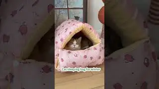 Cat sleeping bag, Link is on bio or copy:www.niopets.com