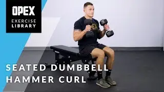 Seated Dumbbell Hammer Curl  - OPEX Exercise Library
