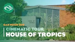🦋 House of Tropics Cinematic Tour | Planet Zoo