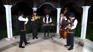 Taraful din Teleorman si Marian Sandu - Live 100%