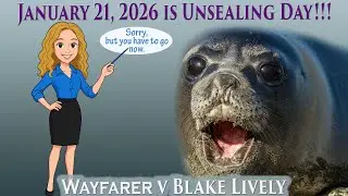 Live With Lauren to Discuss the Great Unsealing. Wayfarer v Blake Lively