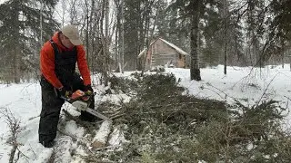 WIND storm, blown down trees and the clean up!