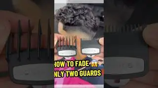 Как исчезнуть⁉️, используя только двух стражей 😱💇🏻&zwj;♂️