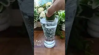 Fuljar Soda Recipe 😍 | Desi Spicy Lemon Soda | Viral Summer Drink #shorts