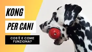 Kong per cani: cos'&egrave; e come si usa