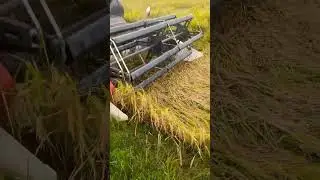 Rice harvester💪💪