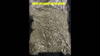 NBA YOUNG BOY REMIX FT PICA - ANYMORE (PICApUFF DISS) @NbaYoungBoy #grass #cbd type using names lol