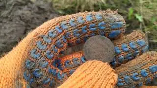 В Пошук в Житомирській області
