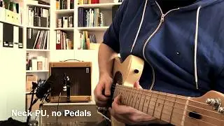 Ritter Amplification Champ 8'' (Fender 
