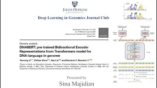 DNABERT pre-trained Bidirectional Encoder Representations Transformers for DNA-language in genome