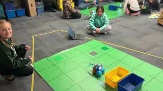Ms. Trammell's Special's Group Playing Dash Robot Basketball