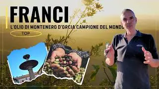 L'eccellenza dell'olio extravergine d'oliva
