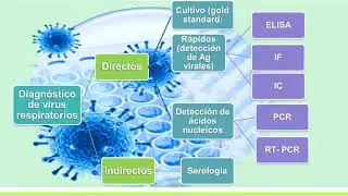 2017/10 - Virus respiratorios en adultos con infecciones respiratorias agudas
