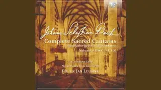 Ich lasse dich nicht, du segnest mich denn, BWV 157: IV. Aria. Ja, Ja, ich halte Jesum feste...