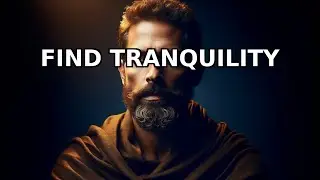 Stoic Strategies for Finding Calm in Daily Chaos | Ancient Wisdom