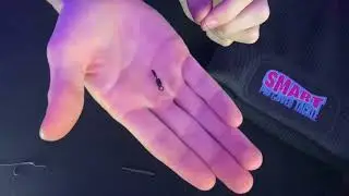 HOW TO : Make a basic lead clip setup (Carp fishing) Tutorial.
