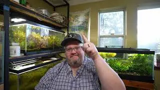 Stocking High-tech Aquascapes - Aquarium 911 Ep 23