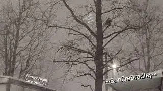 ~BonfireBradley~Snowy Night LiveStream Music #SingerSongwriter#Acoustic#Blues#Harmonica#Dreamscapr