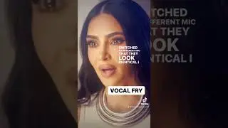 Что такое Вокал Фрай?