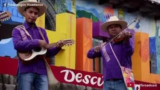 Un rato de Huapangos Huastecos!