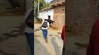 #smart #holder #vines #comedy #video #shooting #shorts #funny