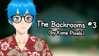 The Backrooms - Found Footage #3 (Best Moments)