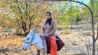 village life in Iran: baking a cake and donkey riding by Sahar 🏇
