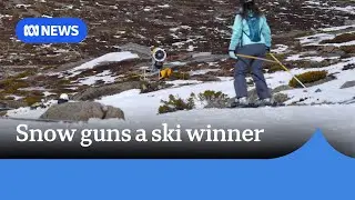 Snow guns prove a business winner at Tasmanian ski site | ABC News