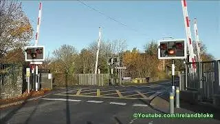 Angol csap&oacute;rudas soromp&oacute;