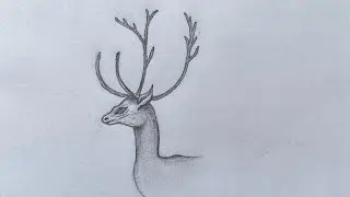 How to Draw Deer (and Antlers) - Sketching Techniques