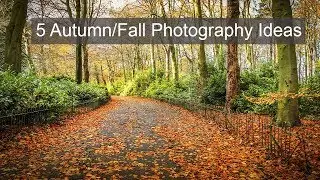 5 Autumn/Fall Photography Ideas