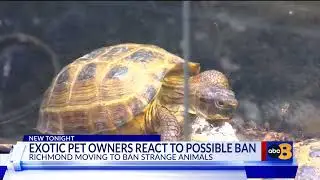City of Richmond considering a ban on owning and selling exotic animals