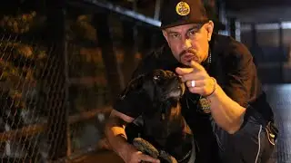 AMOR PERRUNO VIDEO OFICIAL  GRAPDOG PAJARO RAP BEAT @praxistudioaudiovisual @pinobardo