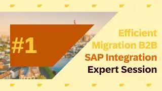 Efficient Migration through Payload-Based & Test-Driven Approaches (B2B)