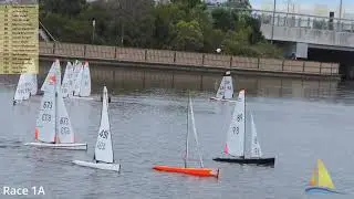 Race 1A - DF95 Queensland State Champs - March 22/2025