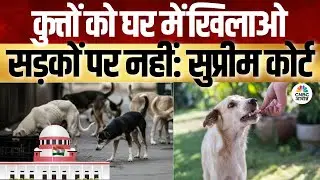 Supreme Court On Stray Dogs | स्ट्रीट डॉग फीडर्स को सुप्रीम कोर्ट की फटकार! | Consumer Adda