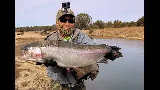 Silver Creek AZ Big Trout Real Fly Fishing Action part four 2025