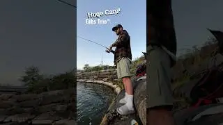 Catching Huge Carp! #fishing #oregon #camping #trout #carp #carpfishing