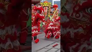 Lion #dance at #buddha  #temple in #chinatown #Singapore longer video posted!