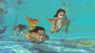 Miss Mermaid Contest in Egypt - 