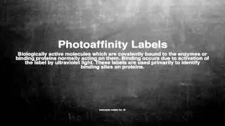 Medical vocabulary: What does Photoaffinity Labels mean