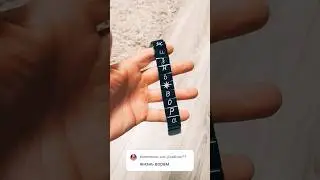 Leben den Dieben