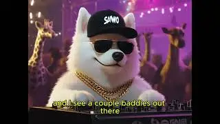 House The Party - Party Animals, Human Situations - Samo the Samoyed DJ Dog Sees a Phat Corgi Butt