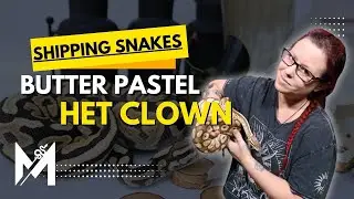 Shipping Freya: Throwback Snake Room Vlog