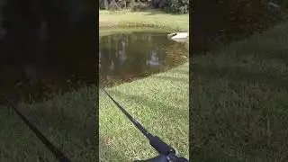UNBELIEVABLE Fishing FAIL! 😵